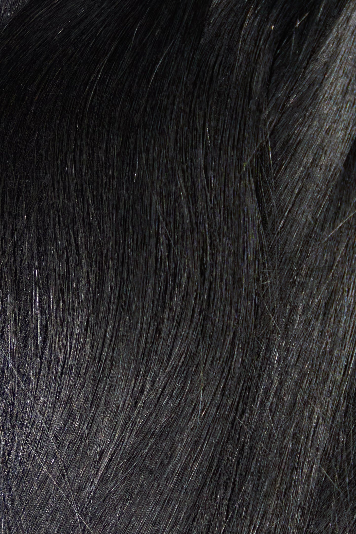 Remy natural black weft bundle with full thickness from root to tip by 1010 Extensions