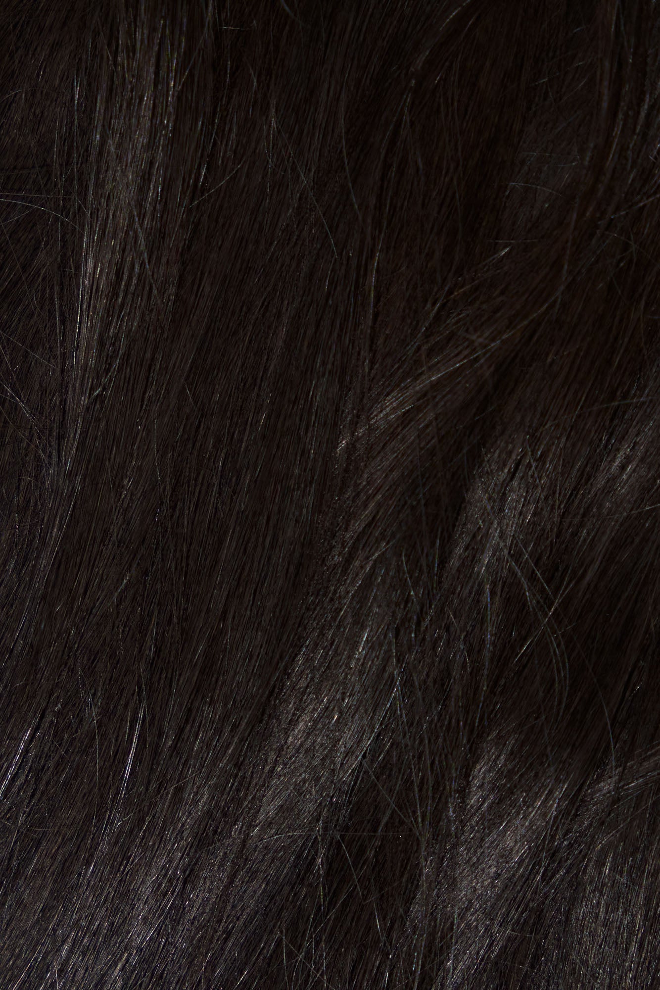 1010 Extensions ponytail in noir black, worn in a wrap-around style for a seamless finish